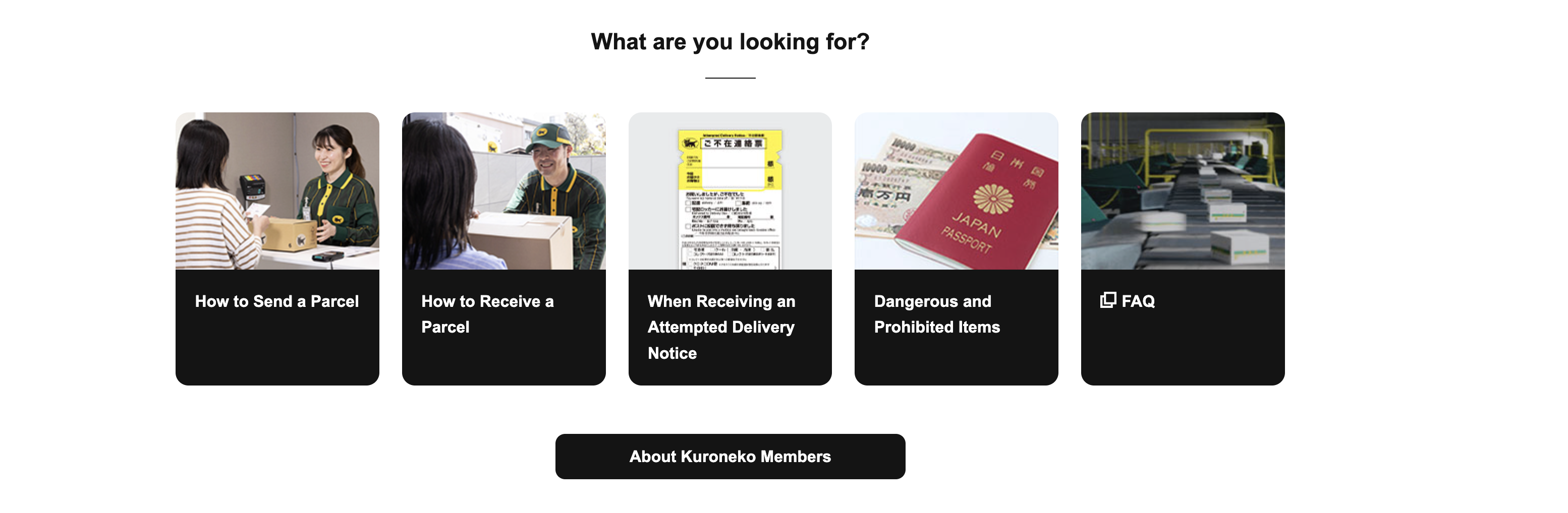 Route Optimization Screen